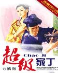 超级家丁