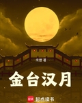金台汉月