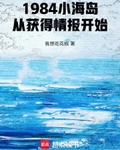 1984小海岛，从获得情报开始