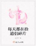 每天都在捡道侣碎片