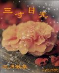 三寸日光