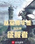 从巫师学徒到万界征服者
