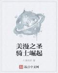 美漫之圣骑士崛起