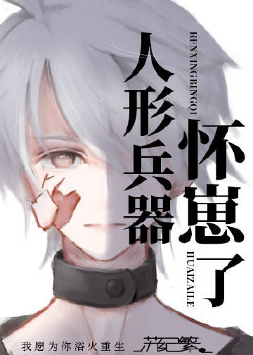 人形兵器怀崽了