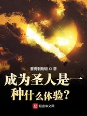成为圣人是一种什么体..