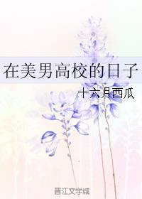 苏寒小说主角的书