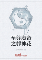 什么小说主角叫苏寒萧雨慧
