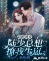 隐婚诱宠：陆少总想撩..