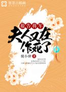 报告将军，夫人又在作..