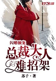 闪婚独宠：总裁大人难..
