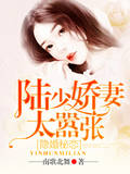 隐婚秘恋：陆少娇妻太..