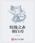 主角龙小山沈月蓉