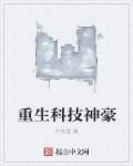 混在大唐的工科宅男李泽轩李丽质