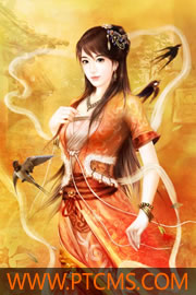 重生九零之完美军婚
