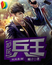 护花兵王