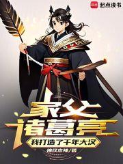 家父诸葛亮，我打造了千年大汉