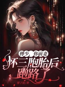 傅少，你前妻怀三胞胎后跑路了