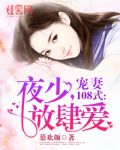 宠妻108式：夜少，放肆爱