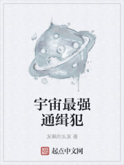 主角是秦年的小说