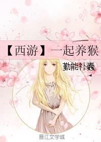 码农修真