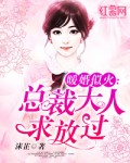 暖婚似火：总裁大人求放过
