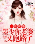 一纸成婚：墨少，你老婆又跑路了！