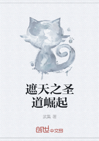 遮天之圣道崛起