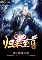 总裁大人，体力好！封圣洛央央