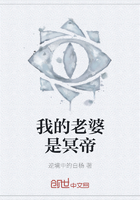 我的老婆是冥帝