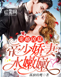 宠婚凶猛：帝少娇妻水嫩嫩