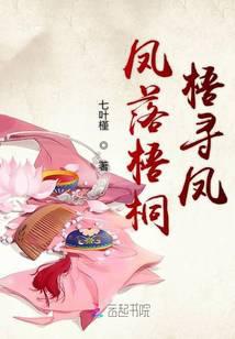 凤落梧桐梧寻凤